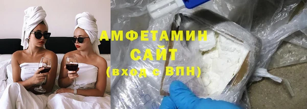 индика Алексин