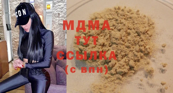индика Алексин