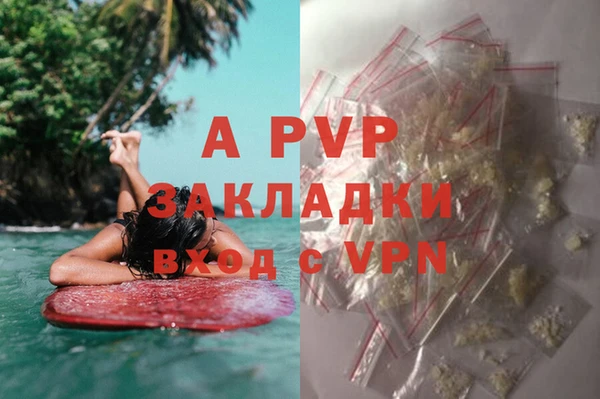 индика Алексин