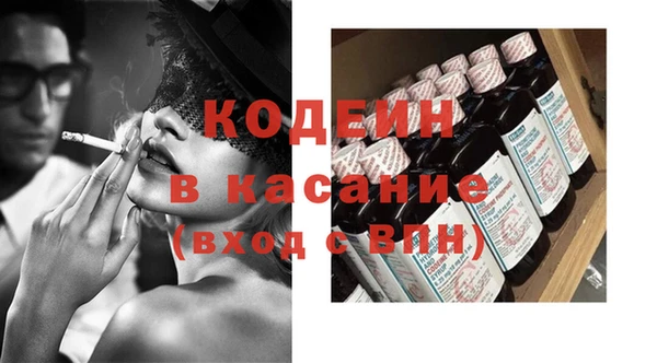 индика Алексин