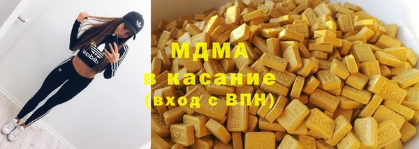 индика Алексин
